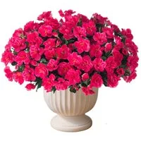 Kunstblumenstrauß 4er Set künstliche Azaleen-Blumensträuße, künstliche Kamelienblumen, Agger, geeignet für Terrasse, Garten und Wohnungsdekoration