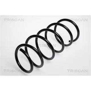 Triscan Feder vorne Renault Clio Thalia