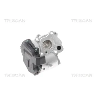 Triscan AGR-Ventil Mercedes 881323015 2,2