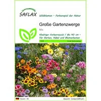 SAFLAX Blumensamen SAFLAX - Samen - Große Gartenzwerge