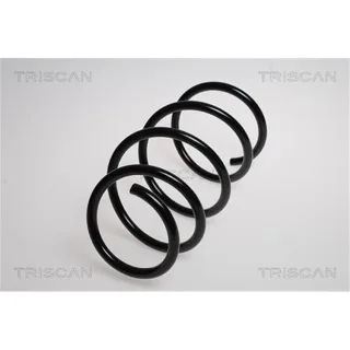 Triscan Feder vorne BMW X3 E83