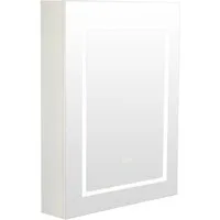 radelldar Spiegelschrank LED Badspiegelschrank mit Stauraum, Hängender Medizinschrank (1-St) mit 3 Lichtfarben & Speicherfunktion, 60 x 76 cm