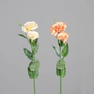 Kunstblume Lysianthus