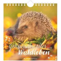 Alpha Edition Wandkalender Geheimnisvolles Waldleben 2027