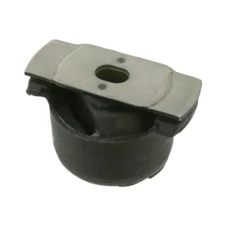 Febi Achsk?rperlager hinten Renault Laguna 2 23317