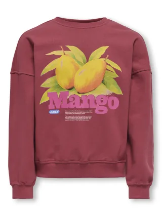 KIDS ONLY - KOGPHILEA LIFE L/S OVZFRUIT ONECK UB SWT earth red - Gr. - 146/152