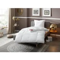 RIBECO Federbettdecke Bettdecke in 135x200 und 155x220cm Topseller, Füllung: 80% Federn und 20% Daunen, Bezug: 100% Baumwolle, Daunen und Federn, Made in Germany, mit gratis 80x80 cm Kissen