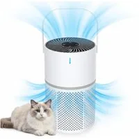 Tekoo Luftreiniger mit HEPA H13 Filter & Ionisator, für Allergiker & Haustiere, 360° Luftansaugung, Kindersicherung, Timer, Nachtlicht, Ionisator