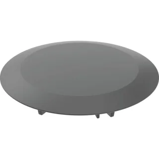 Geberit Ablaufdeckel d52 für DW-Ablauf 150280141