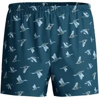 CALIDA Boxershorts Prints Herren (1-St) mit stoffüberzogenem Bund, aus 100% Baumwolle, ohne Eingriff