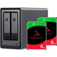 DXP2800 + 2x 6 TB Seagate IronWolf HDD Bundle, NAS