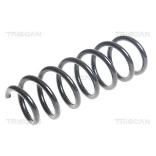Triscan Feder vorne BMW 5er F11 Touring 875011155