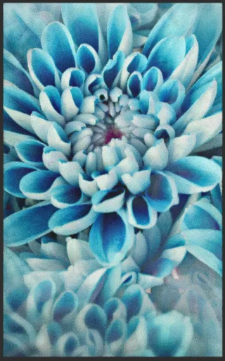 Fussmatte 7748 | Größe: 60 cm x 90 cm