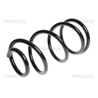 Triscan Feder vorne Ford Transit 2,2 TDCi 875016076