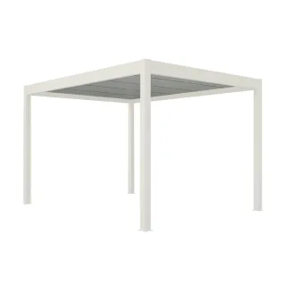Carport freitragend, Freistehendes Carport Basic, Weiß RAL 9016, 301.5 x 205.8 cm, ohne Beleuchtung, individuell konfigurieren