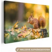 OneMillionCanvasses® Leinwandbild Eichhörnchen - Herbst - Tiere - Herbstliche Blätter - Wald, Fotodruck (1 St), Leinwand Bilder Klein, Wand Dekoration Aesthetic 30x20 cm