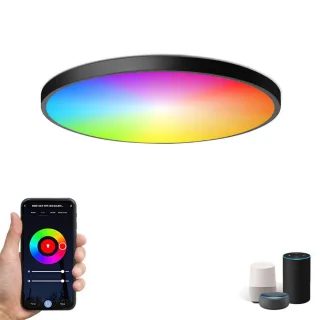 Elfeland 24W 30cm Smart LED Ceiling Light RGB+White Light WiFi APP & Voice Control 3000K~6500K Dimmable Works with Alexa