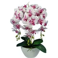 Kunstblume 3pgof Orchidee, damich, Höhe 60 cm, Künstliche Orchidee Höhe ca. 60cm