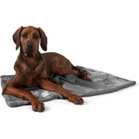 TrendPet Tierdecke Coco, Welpen-Kuscheldecke, Grau, 100% Polyester, in verschiedenen Größen erhältlich