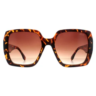 Atum Zouk C2 glÃ¤nzend havannabraun Sonnenbrille mit Farbverlauf