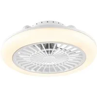 Braytron Deckenventilator mit Licht 3CCT dimmbar App-Steuerung, Fernbedienung, RGB Farbwechsel, LED fest integriert