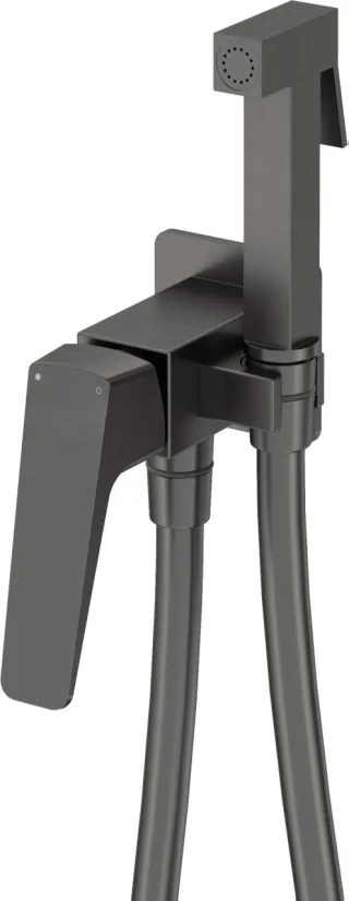 Neuesbad Serie 660 Unterputz-Bidetarmatur mit Bidet-Handbrause, Titan NB1DEBQLD34M1