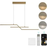Mai & Mai LED Pendelleuchte LED Hängelampe Linear design Verstellbares Hängeleuchte Luvina10