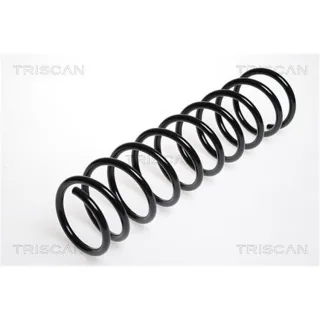 Triscan Feder hinten Renault Twingo 1