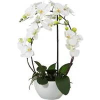 Kunstpflanze Phalaenopsis Orchidee, Creativ green, Höhe 52 cm