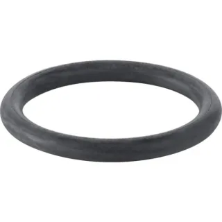 Geberit O-Ring zu Ablaufstutzen ab Modell 77 892975001