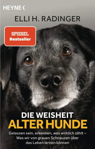 Die Weisheit alter Hunde: Gelassen sein erkennen was wirklich zählt ? Was wir von grauen Schnauzen über das Leben lernen können
