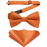 LuxusKollektion Fliege Fliege Herren Vorgebunden Einstecktuch Anzug Hochzeit Set Orange