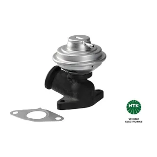 NTK AGR-Ventil Citroen Fiat Lancia Peugeot 95540