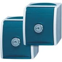Schutzkontaktsteckdose 2 Steckdosen mit 2 gleichen Schlössern blau, Retail