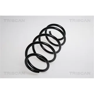 Triscan Feder Vorne VW Golf 5 Jetta 1,4