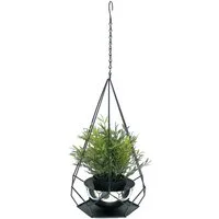 DanDiBo Blumenampel Innen Metall Wand Hängepflanzen 96095 mit Topf 6 Ecken Pflanzenhänger, Blumenhänger Topfhänger Blumen Blumentopfhänger Hängetopf