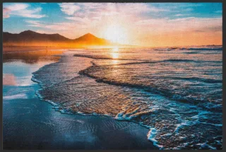 Fussmatte 6111 | Größe: 120 cm x 200 cm
