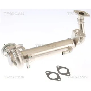 Triscan AGR-Ventil Iveco Daily 4