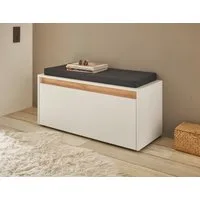 Home affaire Polsterbank GiRON/CiTY, Garderobenbank mit Klappe, Sitzbank in vier Farben (2-St), viel Stauraum, Platz für ca. 8 Paar Schuhe, 100 cm breit