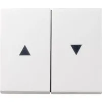 GIRA Schalter GIRA 329427 Wippe 2fach Pfeil System 55 Reinweiß seidenmatt
