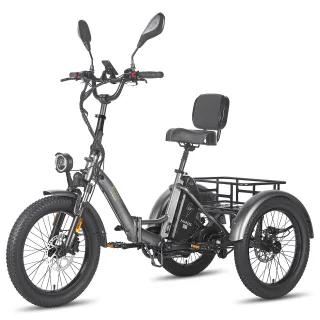 [EU DIRECT] FAFREES F20 MATE Electric Tricycle with EU L2e-P Certification 48V 23.45Ah Battery 500W Motor Recommended To