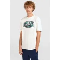 O'Neill T-Shirt O'NEILL GRAPHIC T-SHIRT mit Logodruck, Kurzarm, aus Baumwolle