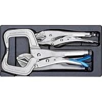 Gripzangen-Sortiment in 1/3 ES-Modul, Zangen-Set