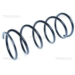 Triscan Feder hinten Mitsubishi Pajero Sport