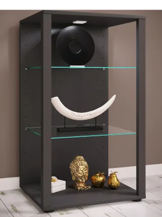 Vitrine GLASOL