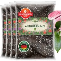 OraGarden Gartenbau-Substrat Anthurien Erde
