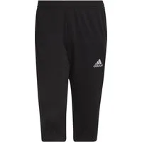adidas Sportswear Trainingsshorts ENT22 3/4 PNT