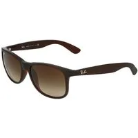 Ray-Ban Sonnenbrille Ray-Ban Andy RB4202 607313 Matte Brown On Brown Brown Dark Brown