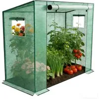 FIVMEN Gewächshaus Foliengewächshaus mit 2 Belüftungsfenster 200x80x150 cm, Tomaten Foliengewächshaus Balkon Outdoor Winterfest Tomatenhaus