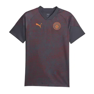 Puma - "2023/24" Fußball Trikot für Herren, Training (Grau/Violett)